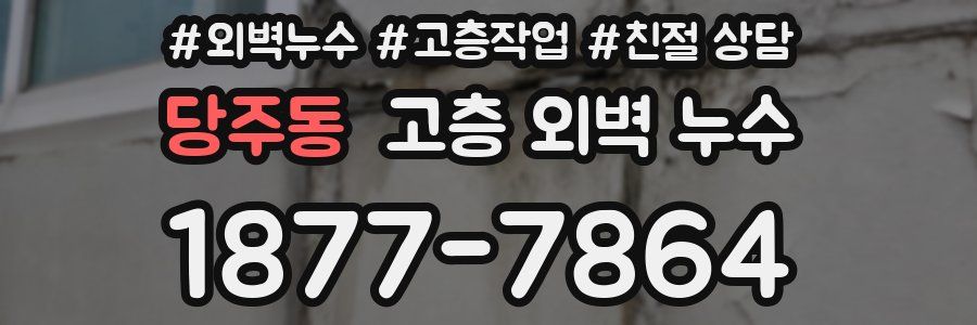 당주동 고층 외벽 누수