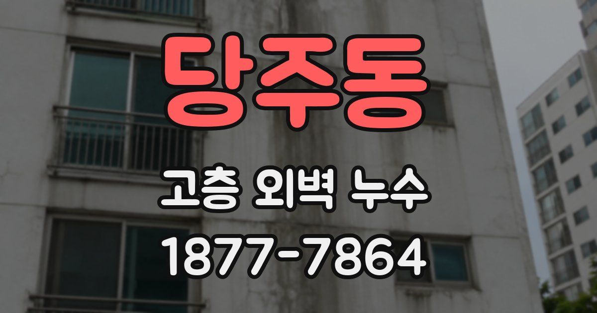 당주동 고층 외벽 누수