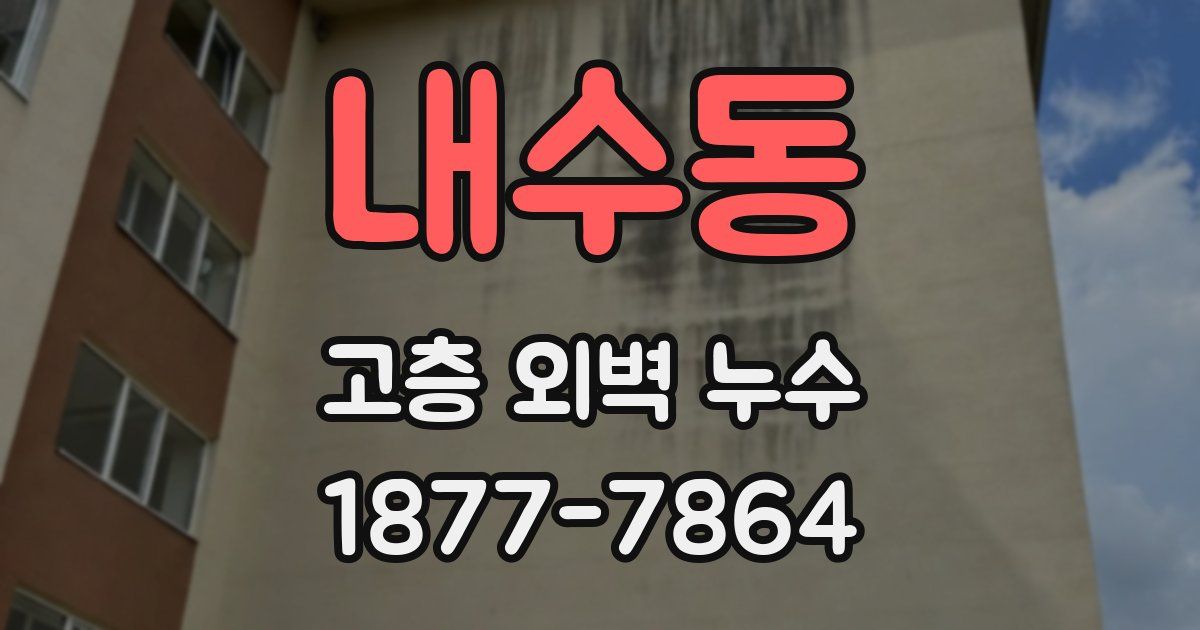 내수동 고층 외벽 누수