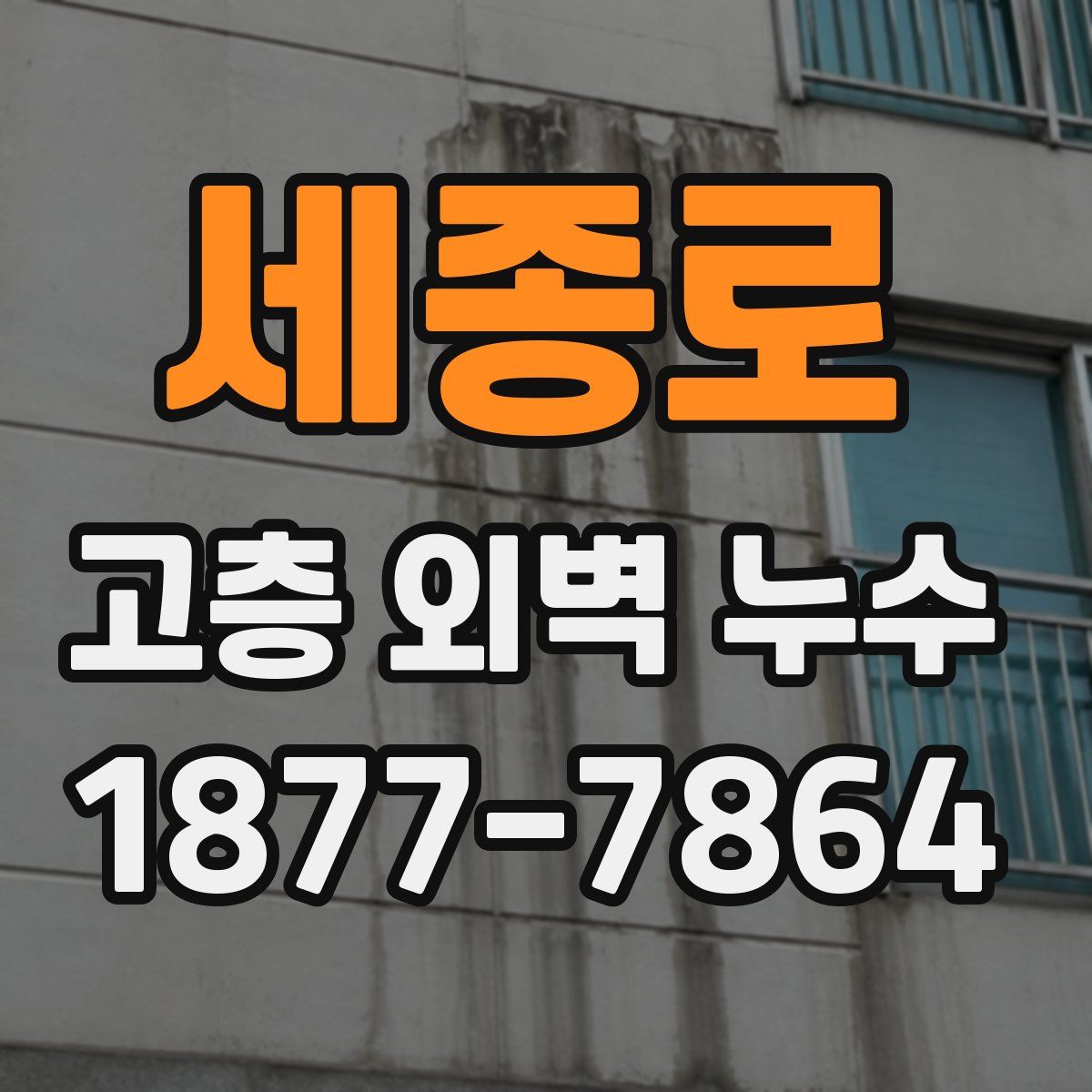 세종로 고층 외벽 누수