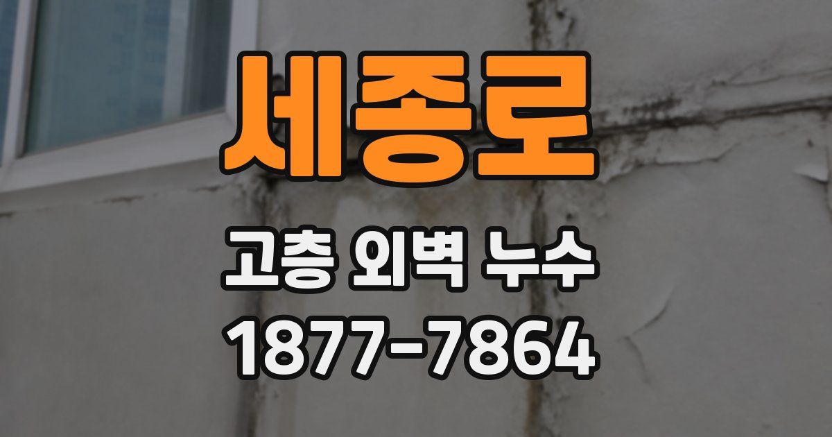 세종로 고층 외벽 누수