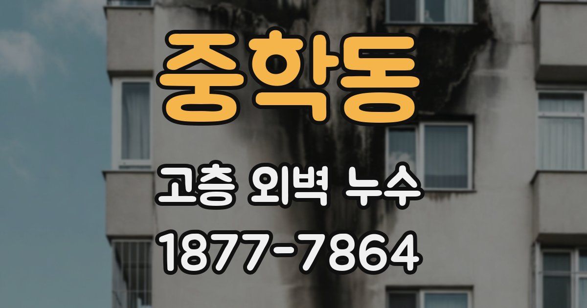 중학동 고층 외벽 누수