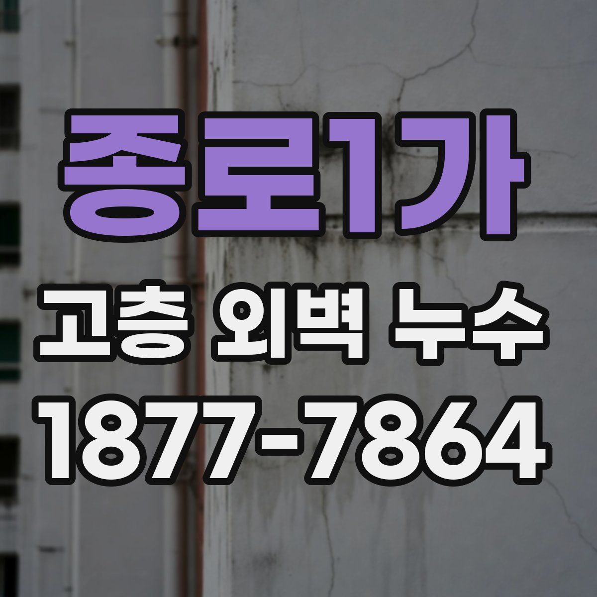 종로1가 고층 외벽 누수