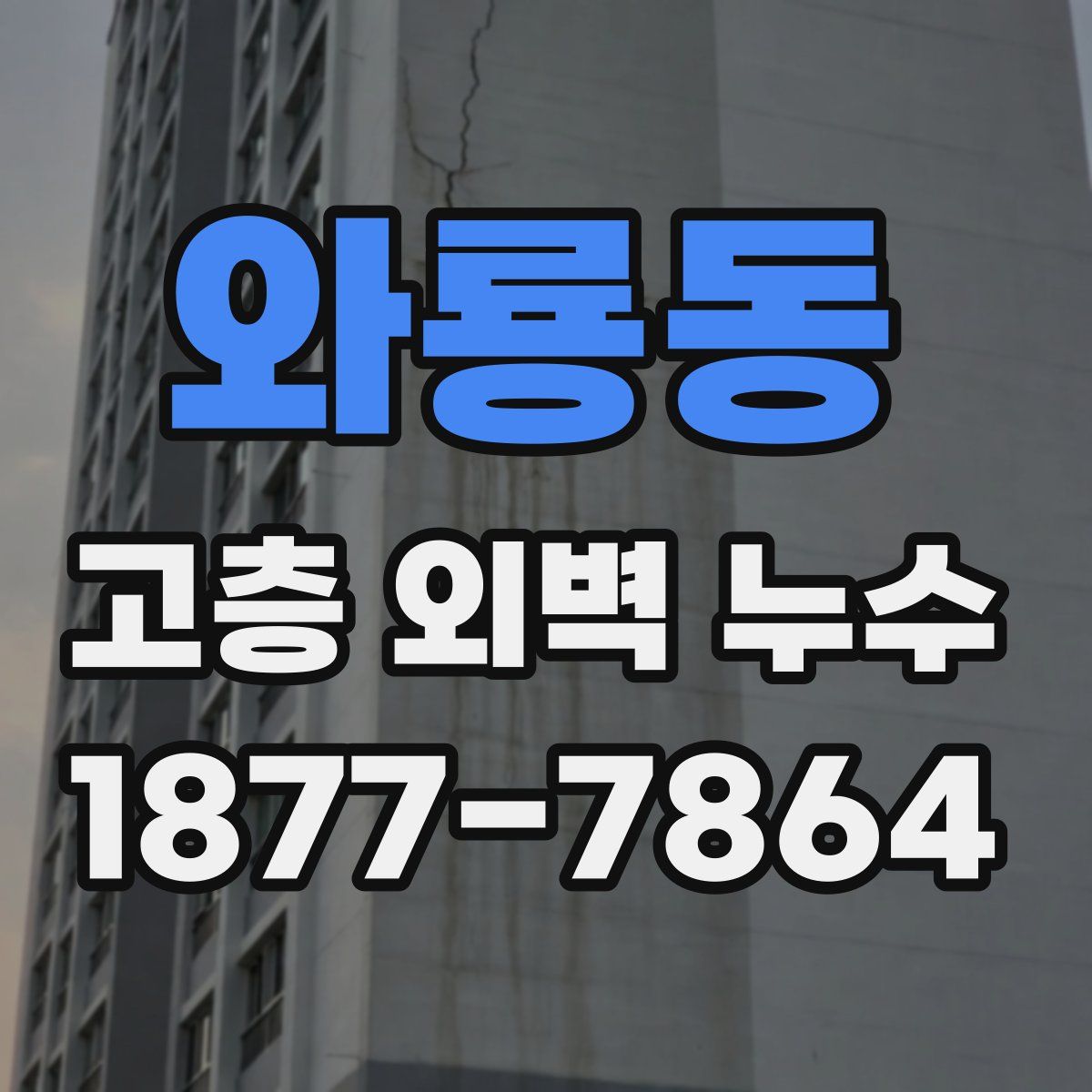 와룡동 고층 외벽 누수