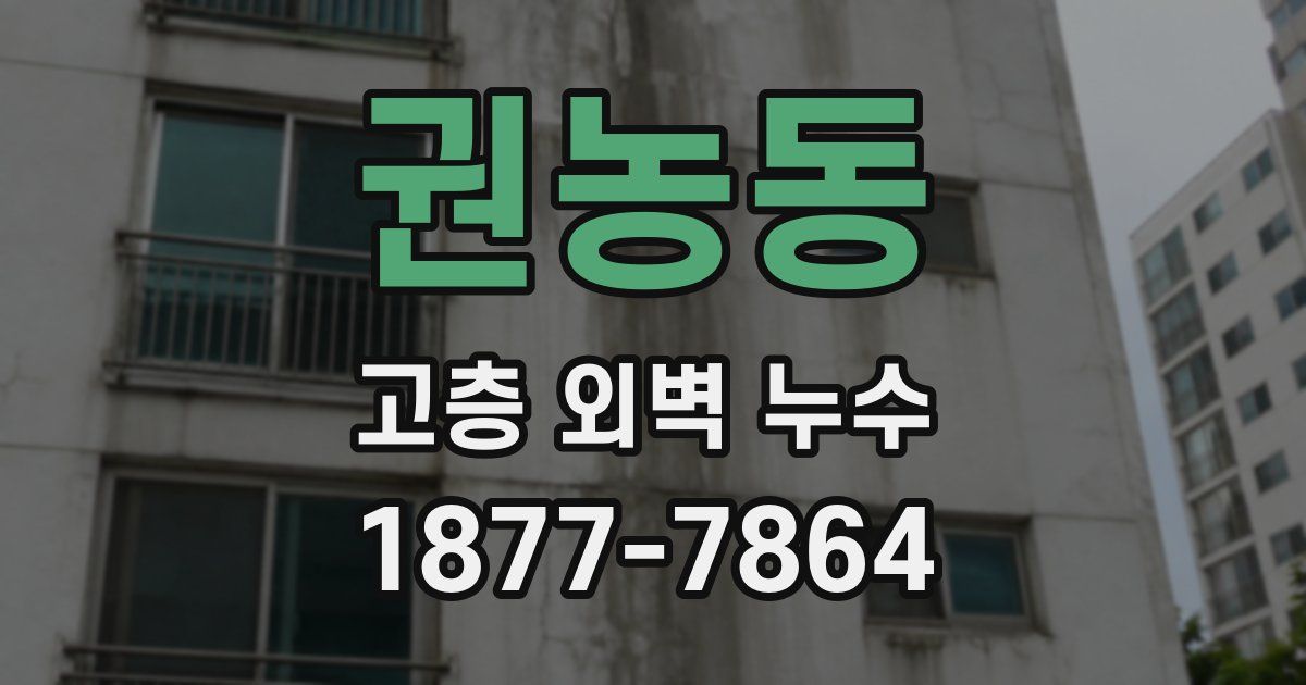 권농동 고층 외벽 누수