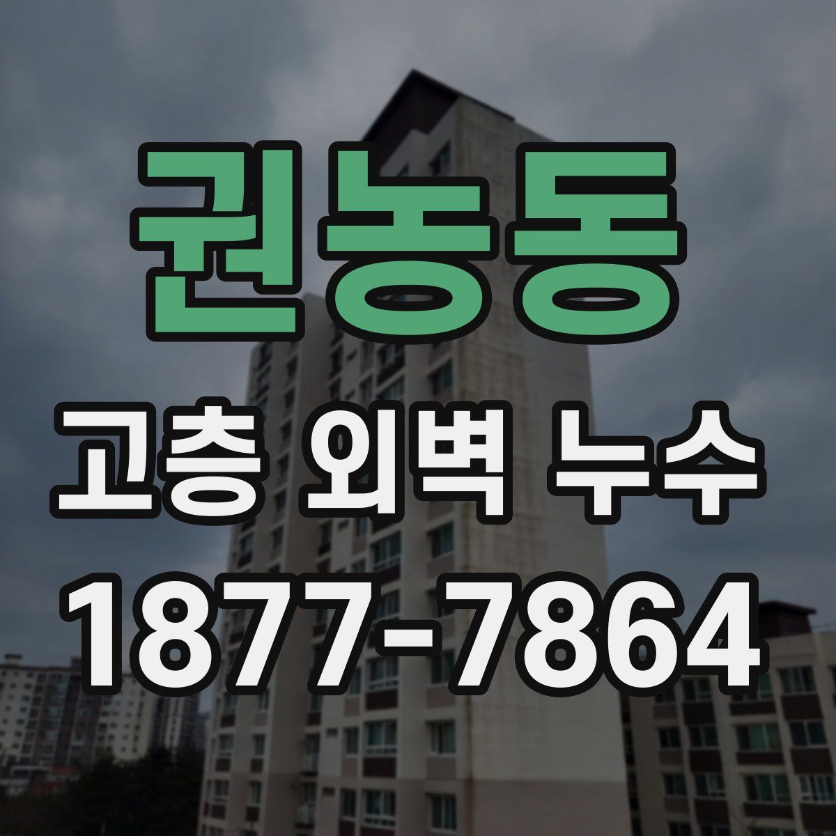 권농동 고층 외벽 누수