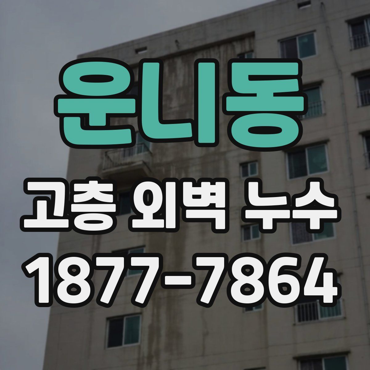 운니동 고층 외벽 누수