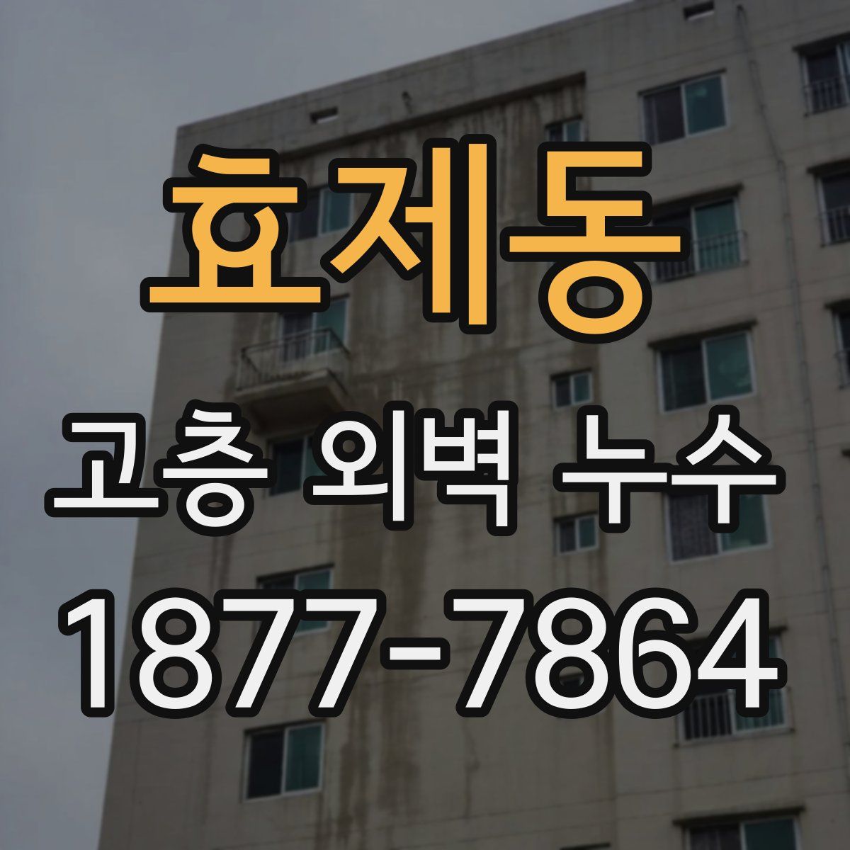 효제동 고층 외벽 누수