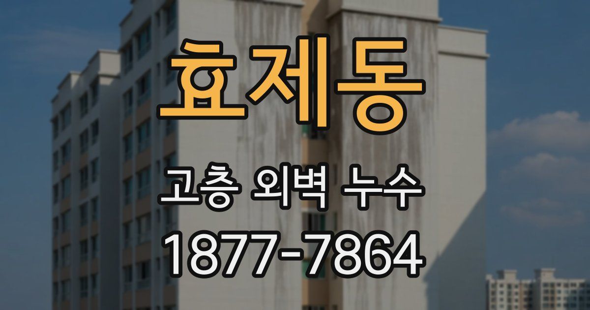 효제동 고층 외벽 누수