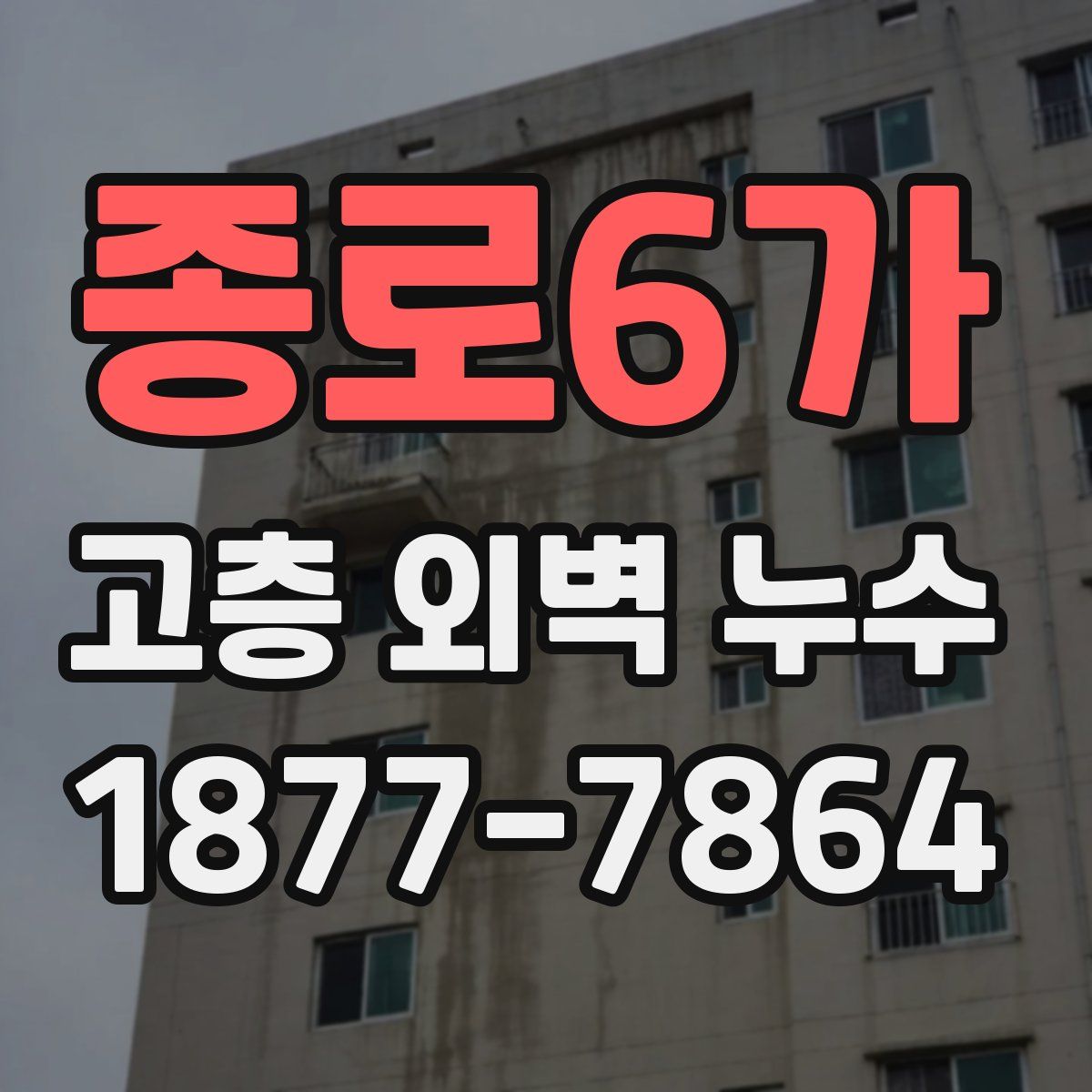 종로6가 고층 외벽 누수