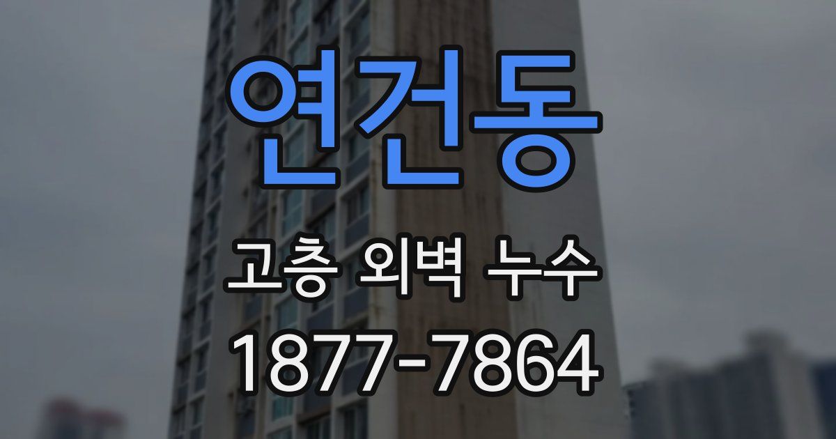 연건동 고층 외벽 누수