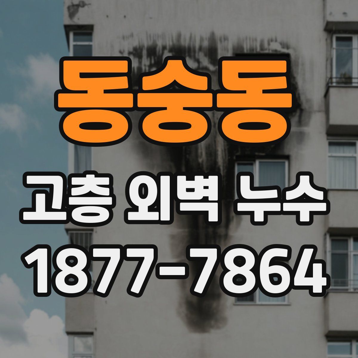동숭동 고층 외벽 누수