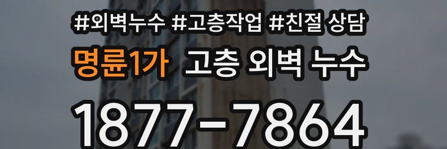 명륜1가 고층 외벽 누수