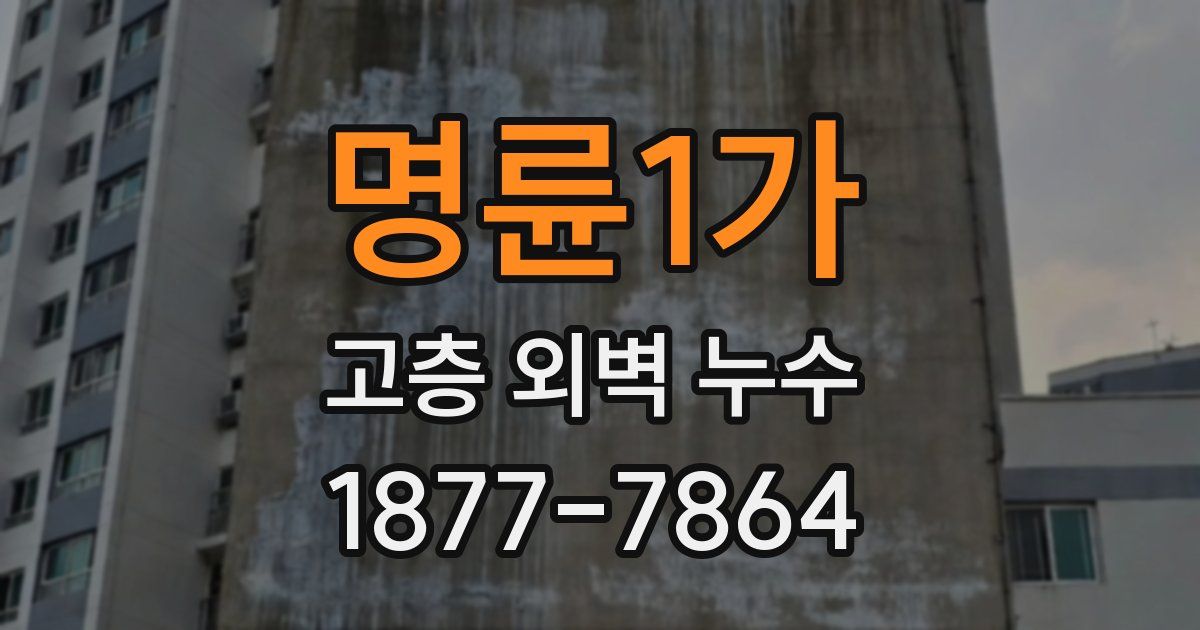 명륜1가 고층 외벽 누수