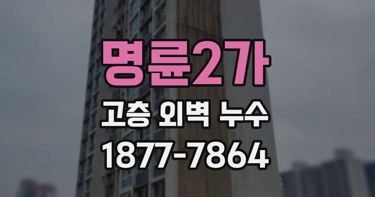 명륜2가 고층 외벽 누수