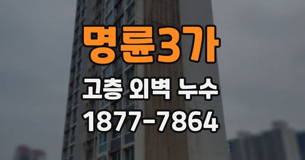 명륜3가 고층 외벽 누수