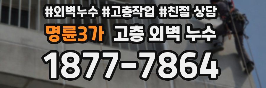명륜3가 고층 외벽 누수