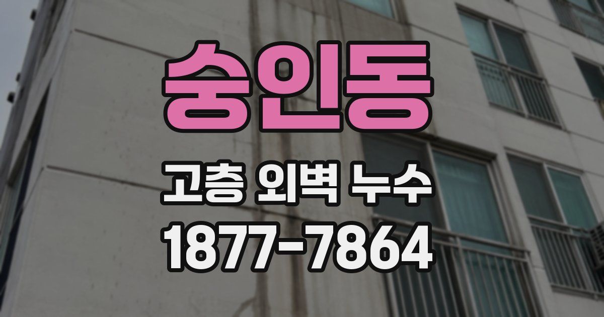 숭인동 고층 외벽 누수