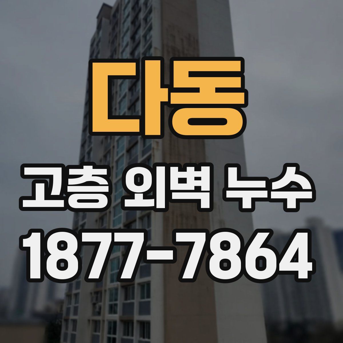 다동 고층 외벽 누수