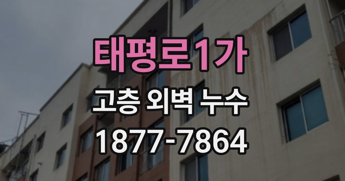 태평로1가 고층 외벽 누수