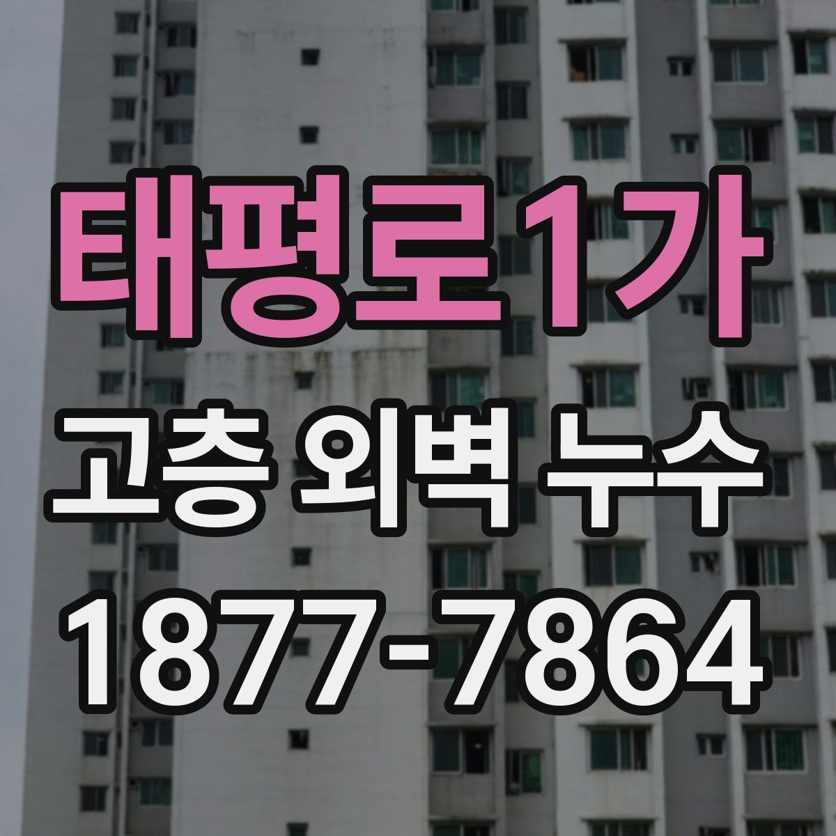 태평로1가 고층 외벽 누수