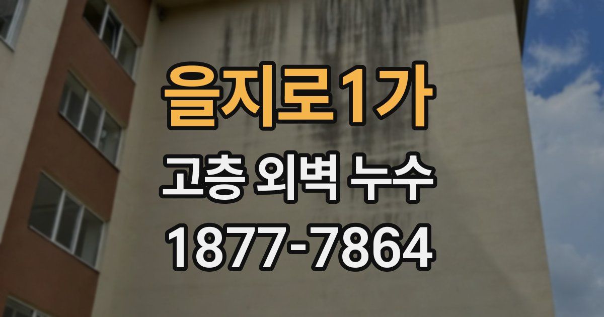 을지로1가 고층 외벽 누수