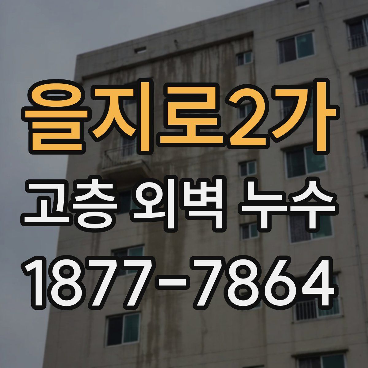 을지로2가 고층 외벽 누수