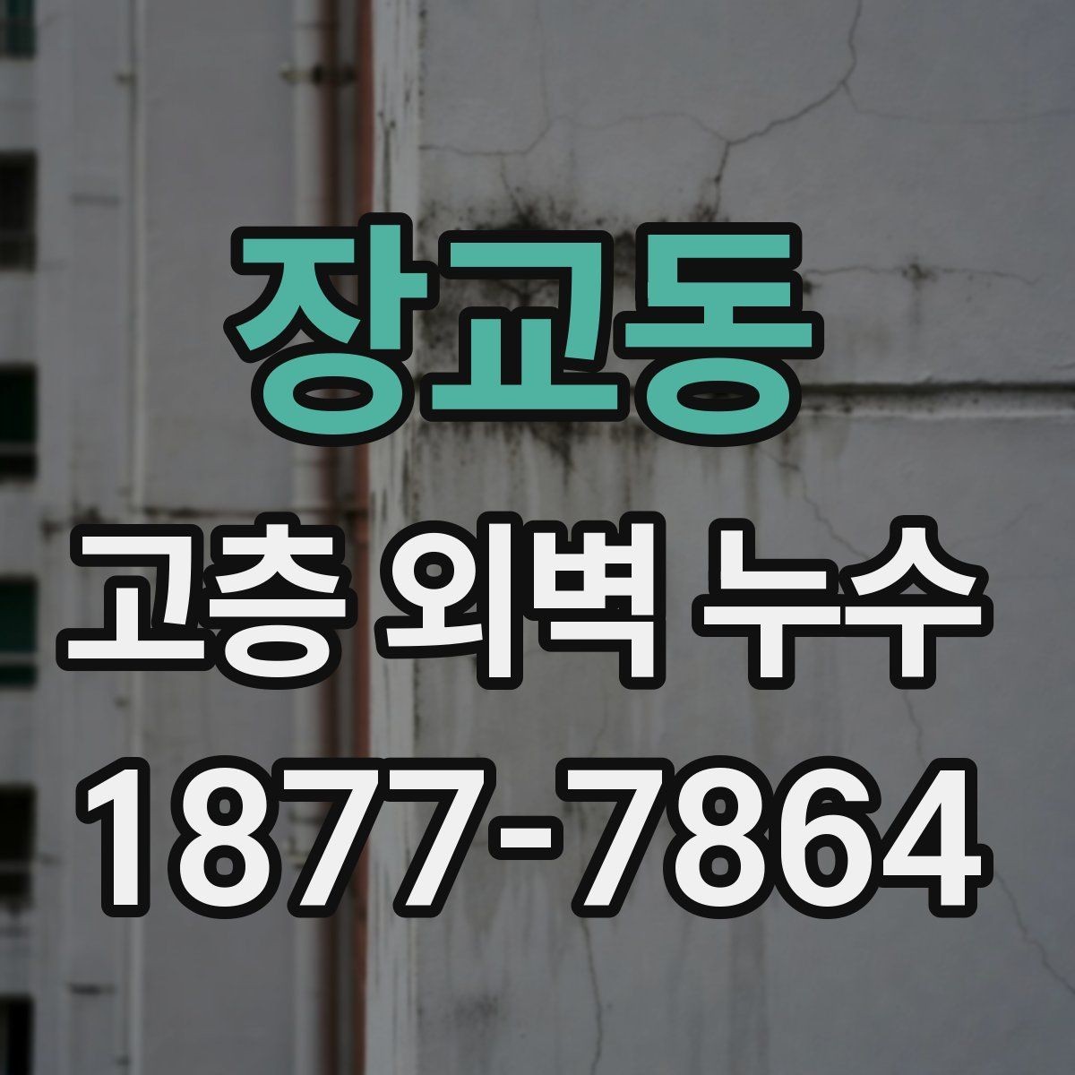 장교동 고층 외벽 누수 점검부터 시공까지 알아야 할 흐름