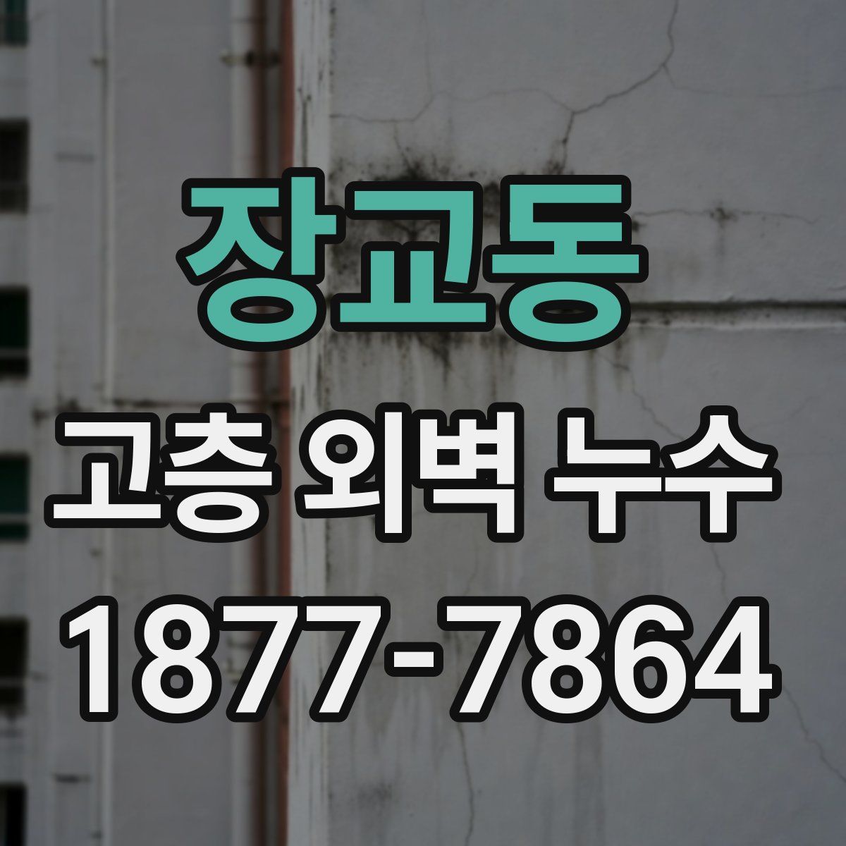 장교동 고층 외벽 누수