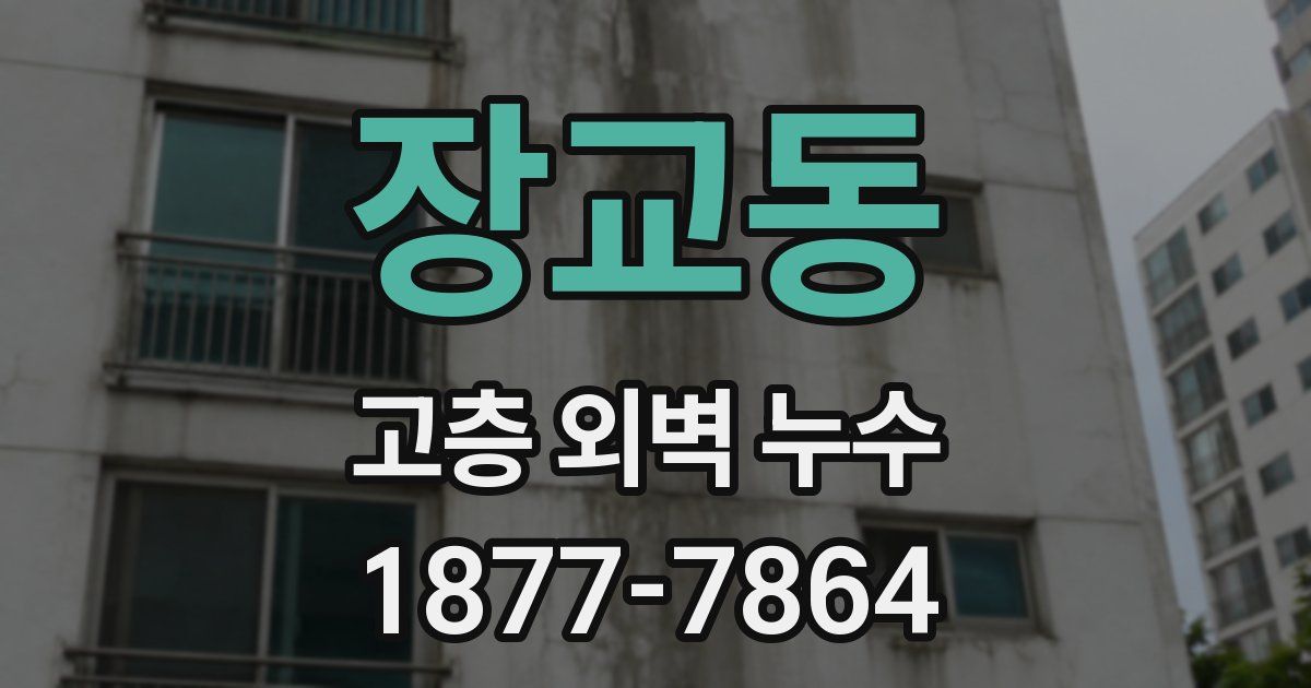 장교동 고층 외벽 누수