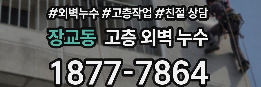 장교동 고층 외벽 누수