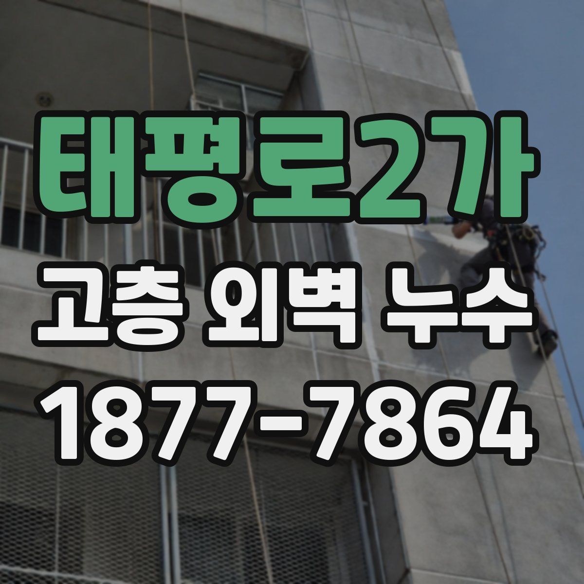 태평로2가 고층 외벽 누수