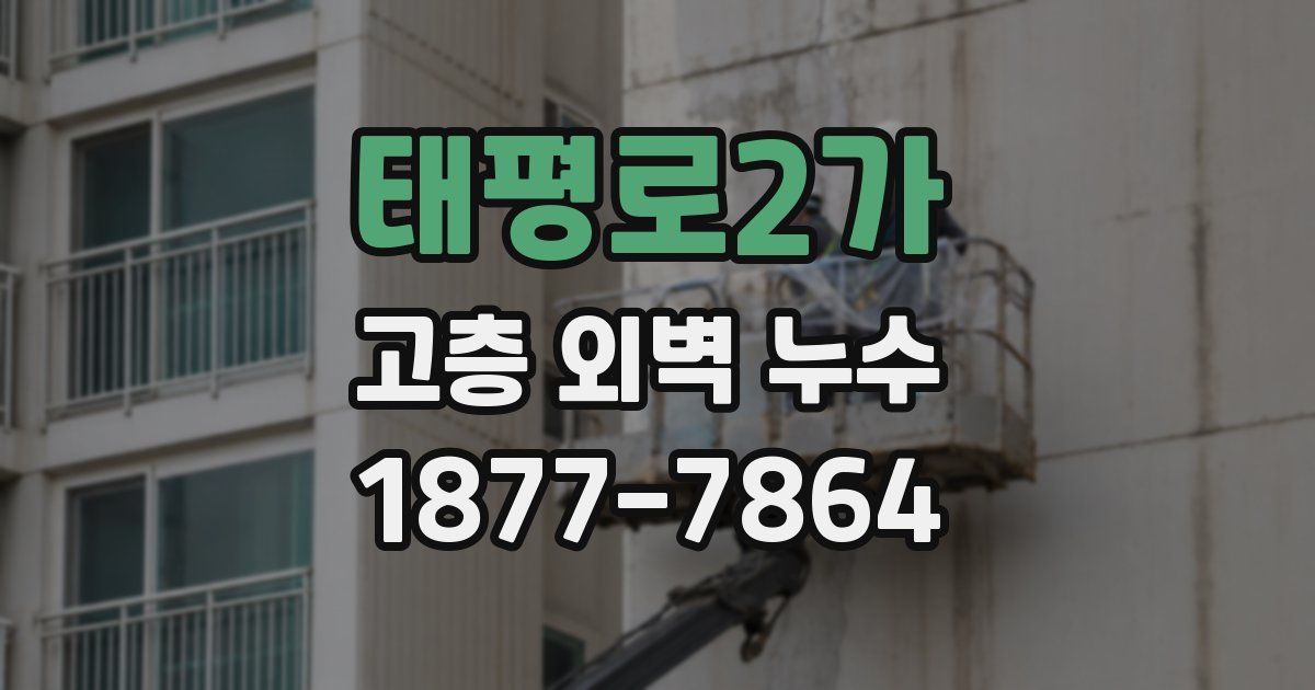 태평로2가 고층 외벽 누수
