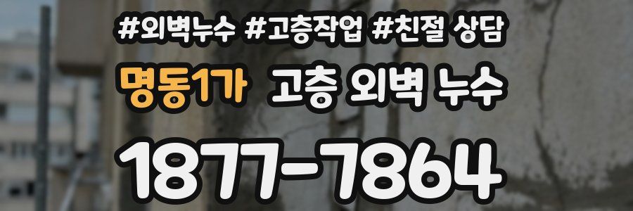 명동1가 고층 외벽 누수