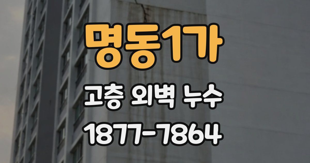 명동1가 고층 외벽 누수