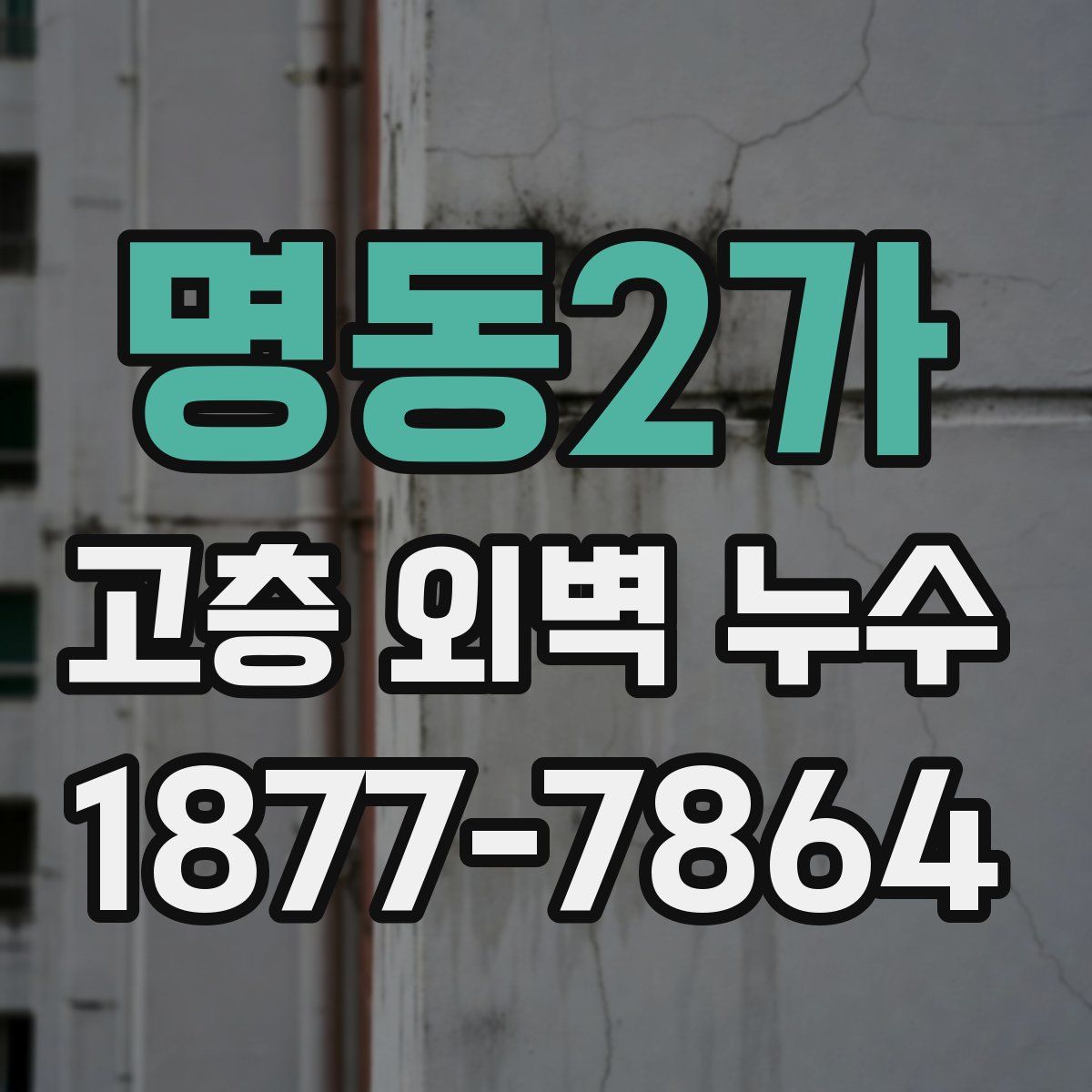 명동2가 고층 외벽 누수