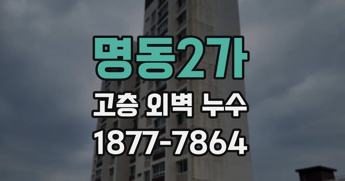 명동2가 고층 외벽 누수
