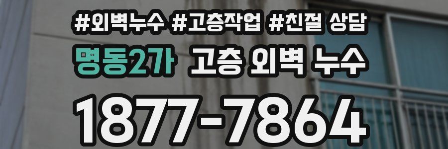 명동2가 고층 외벽 누수