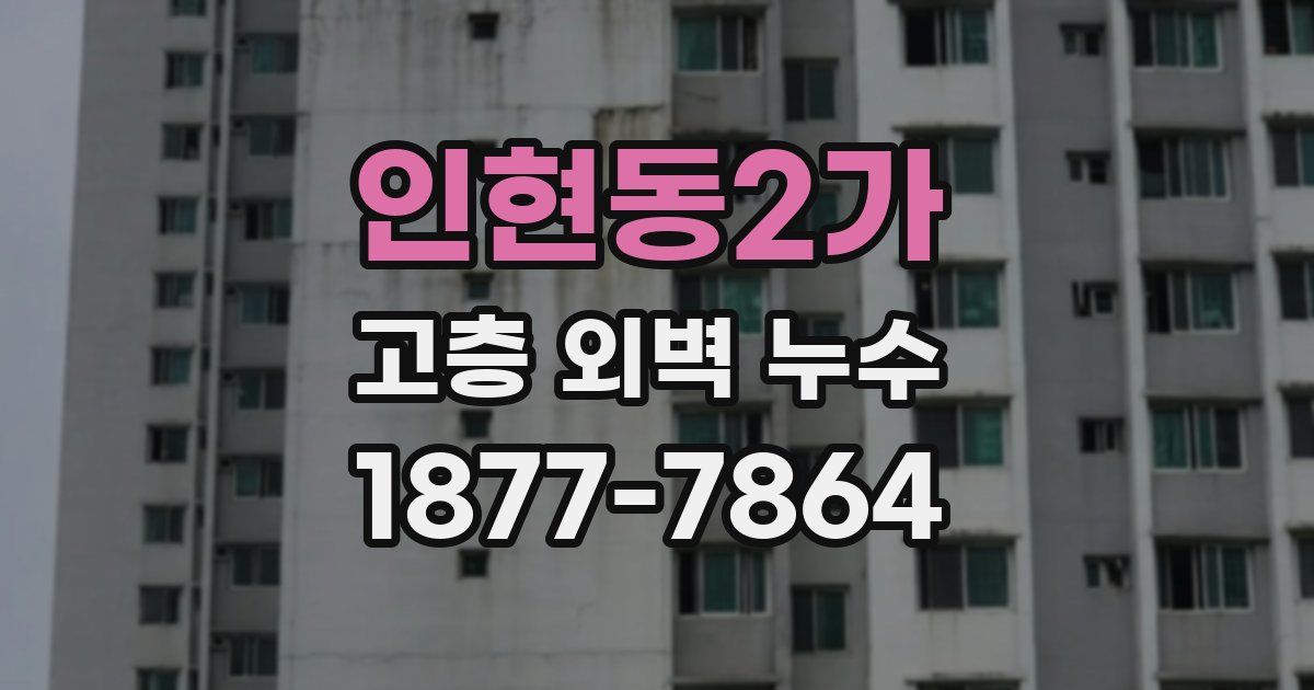 인현동2가 고층 외벽 누수