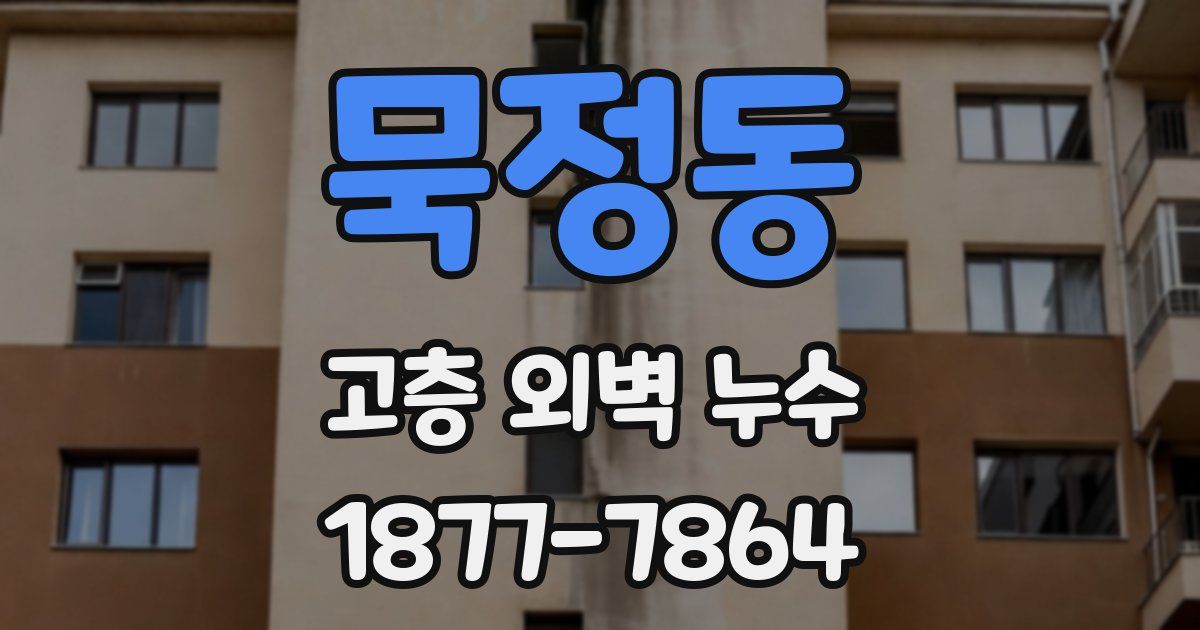 묵정동 고층 외벽 누수