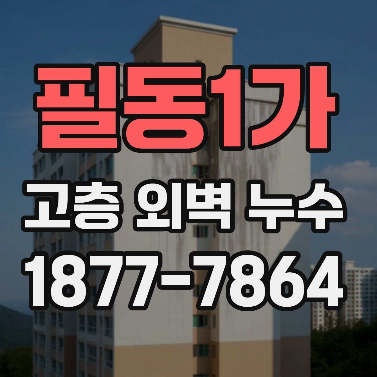 필동1가 고층 외벽 누수