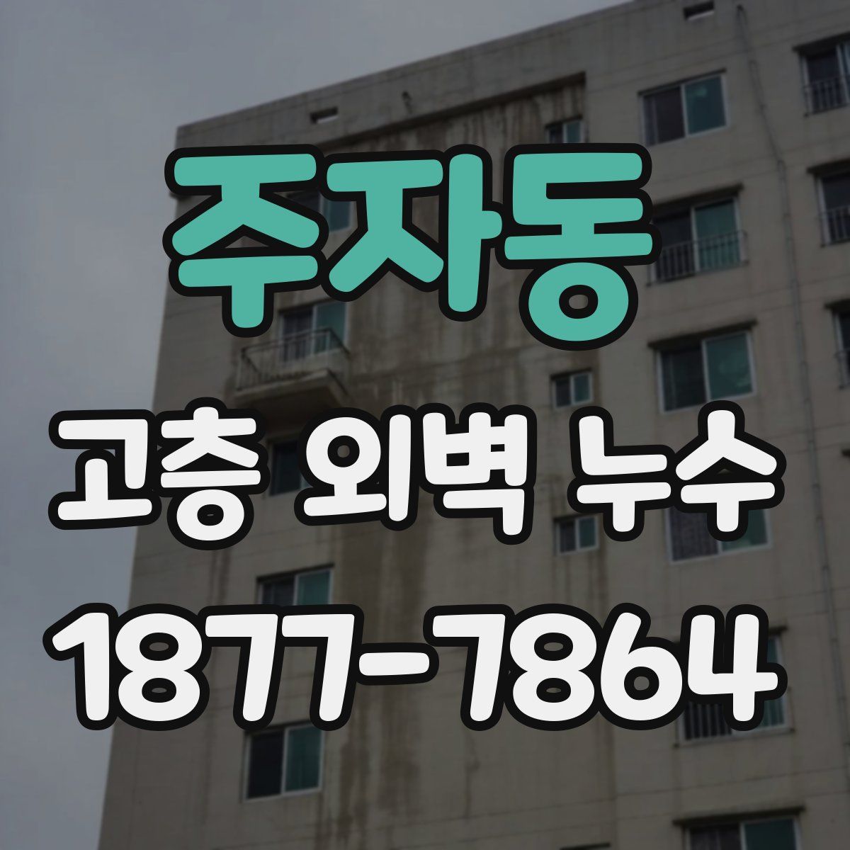 주자동 고층 외벽 누수