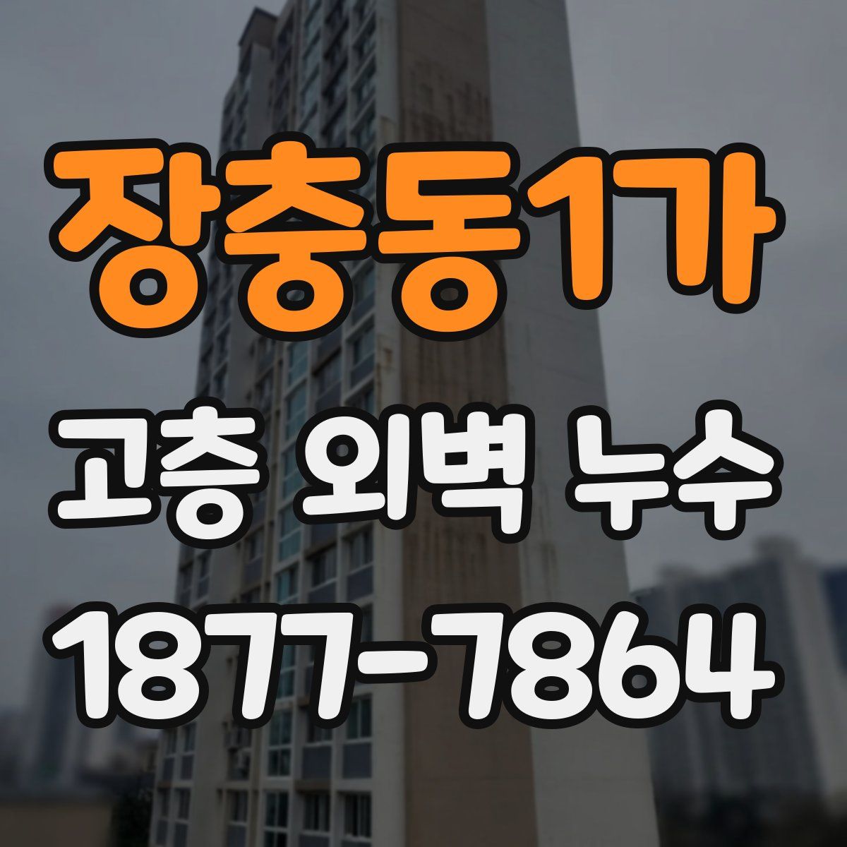 장충동1가 고층 외벽 누수