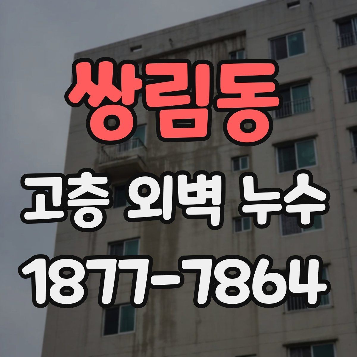 쌍림동 고층 외벽 누수 진단과 보수의 차이를 이해하기