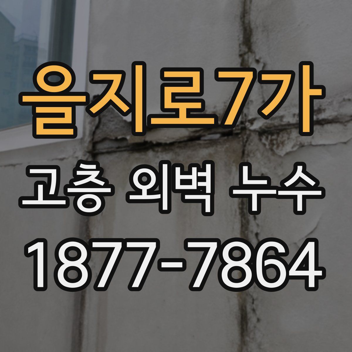 을지로7가 고층 외벽 누수