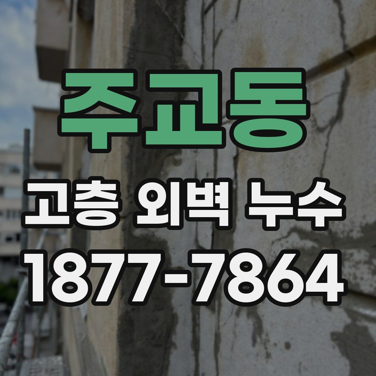 주교동 고층 외벽 누수