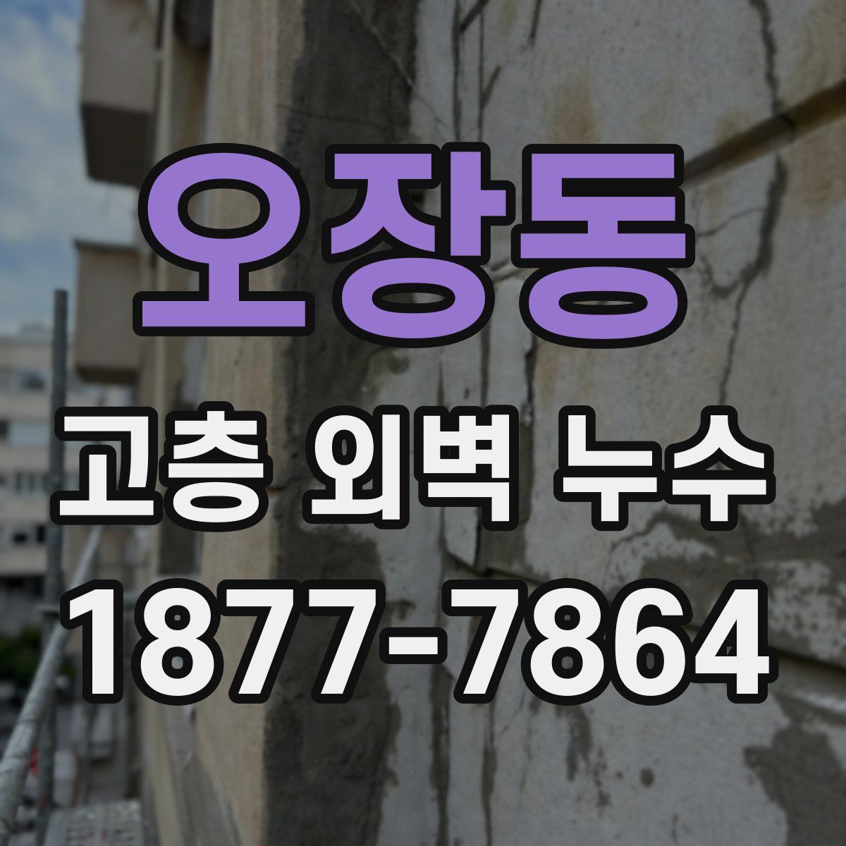 오장동 고층 외벽 누수