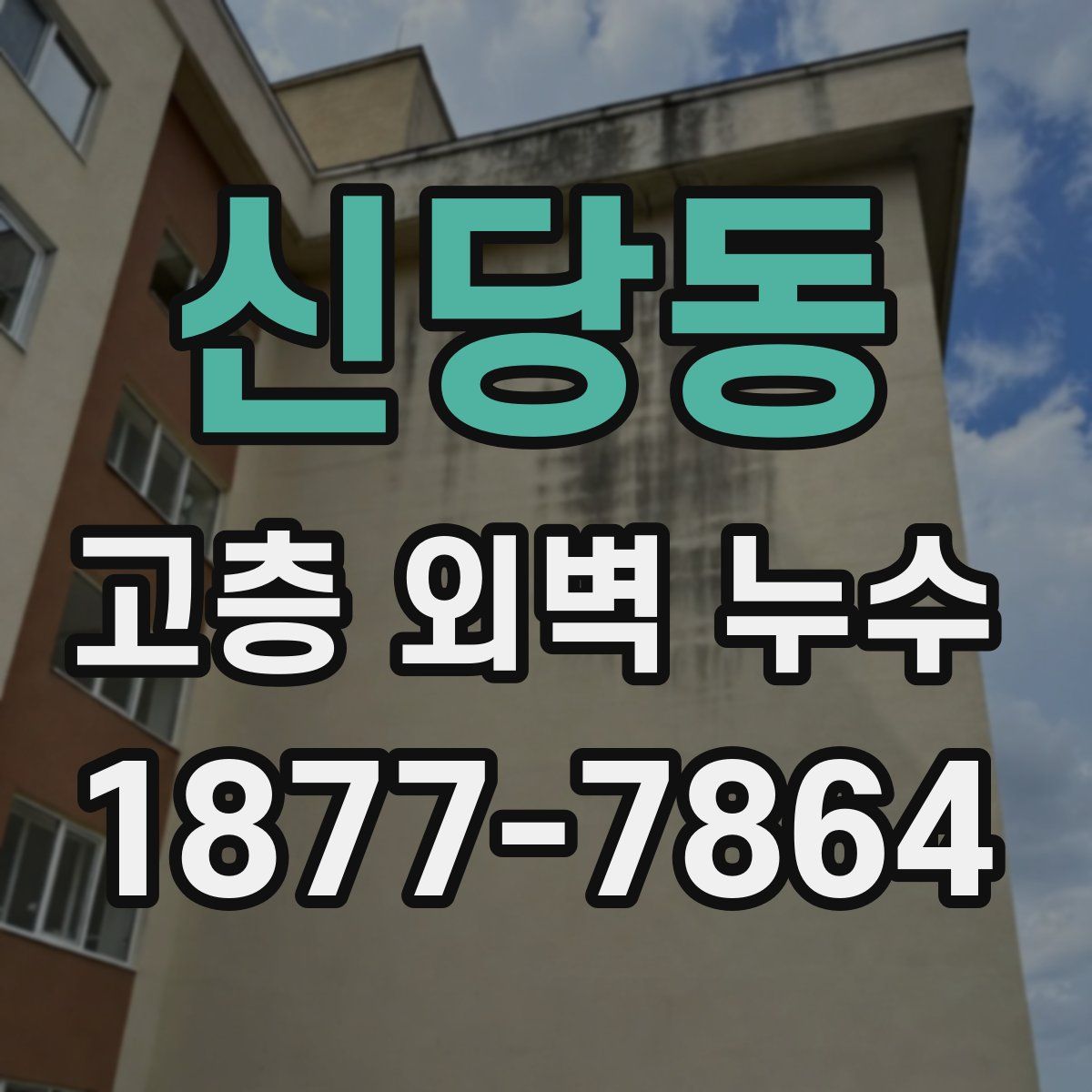 신당동 고층 외벽 누수