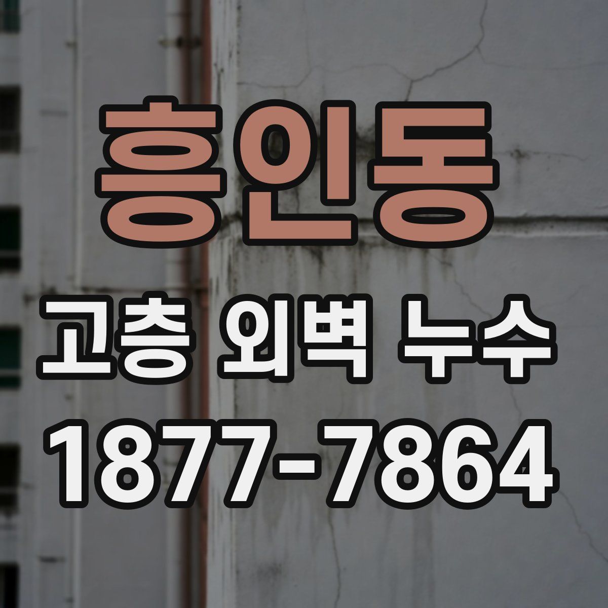 흥인동 고층 외벽 누수