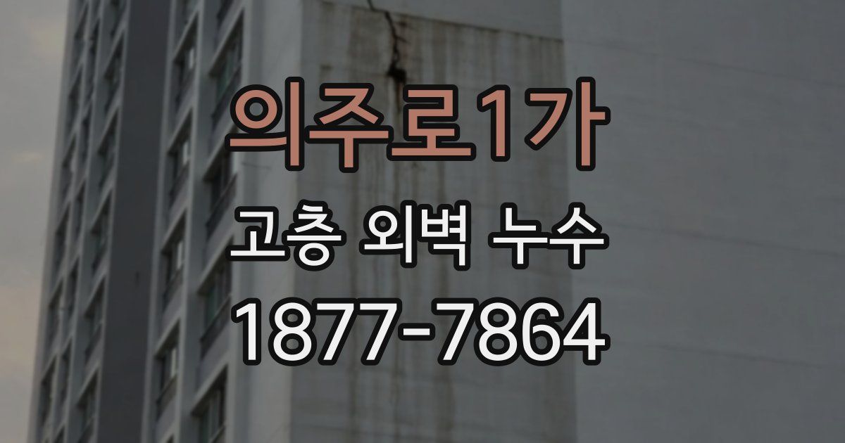 의주로1가 고층 외벽 누수